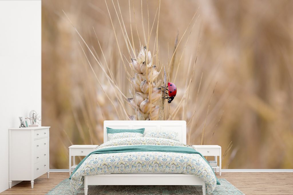 MuchoWow Fototapete für Wohnzimmer oder Schlafzimmer Wandtapete Vinyl Motivtapete Marienkäfer in einem Weizenfeld - 450x300 cm - Gemusterte