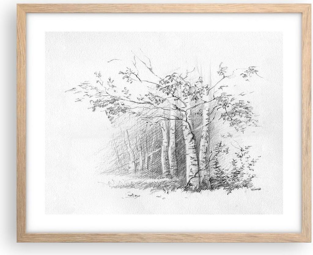 Gerahmtes Poster - Rahmen in heller Eiche - Skizze Wald Birke - 50x40 cm - Wand Bild - Wanddeko - Wandbilder - Wandposter - Bilderrahmen - Bilder -...