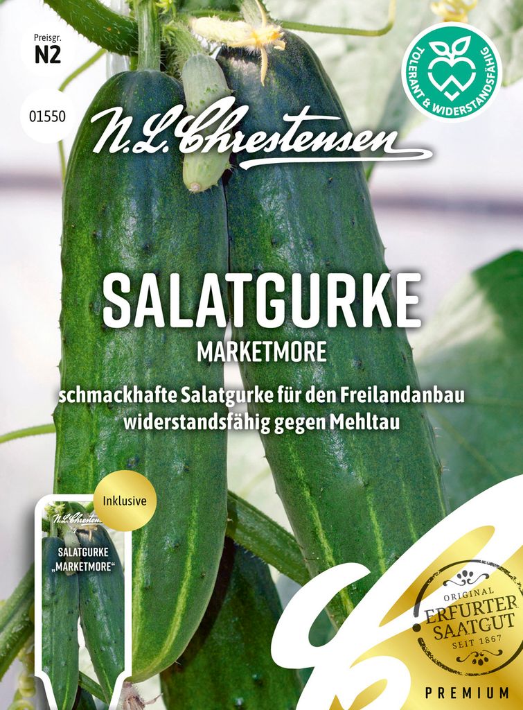 Salatgurke Marketmore | Salatgurkensamen von N.L. Chrestensen