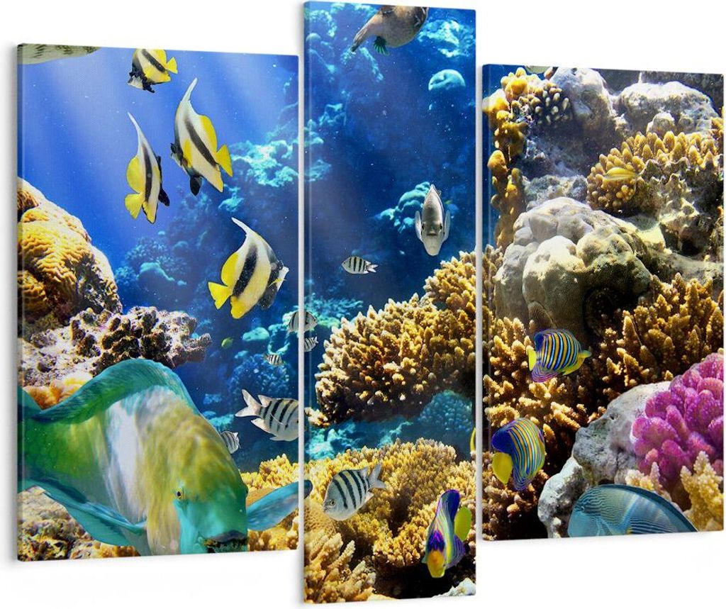 Bild auf Leinwand - Leinwandbild - Korallenriff Ozean Krabbe Fisch - 95x80cm - Wand Bild - Wanddeko - Leinwanddruck - Bilder - Kunstdruck - Wanddek...