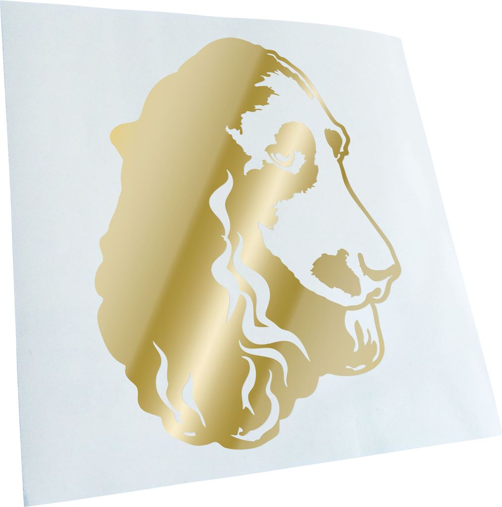 Kiwistar - Autoaufkleber - field spaniel Hund - Goldchrom - 60x46cm - Aufkleber für Auto, Laptop, Fahrrad, LKW, Motorrad mehrfarbig JDM Decal Racing