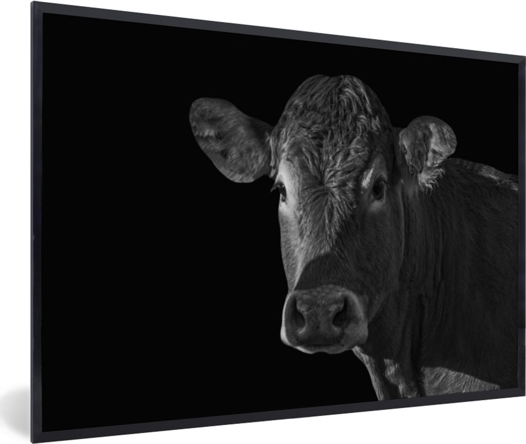 MuchoWow Gerahmtes Poster Kuh - Tiere - Schwarz - Weiß - Porträt 30x20 cm - Poster mit Schwarzem Bilderrahmen Wandposter Rahmen Foto Bilder - K...