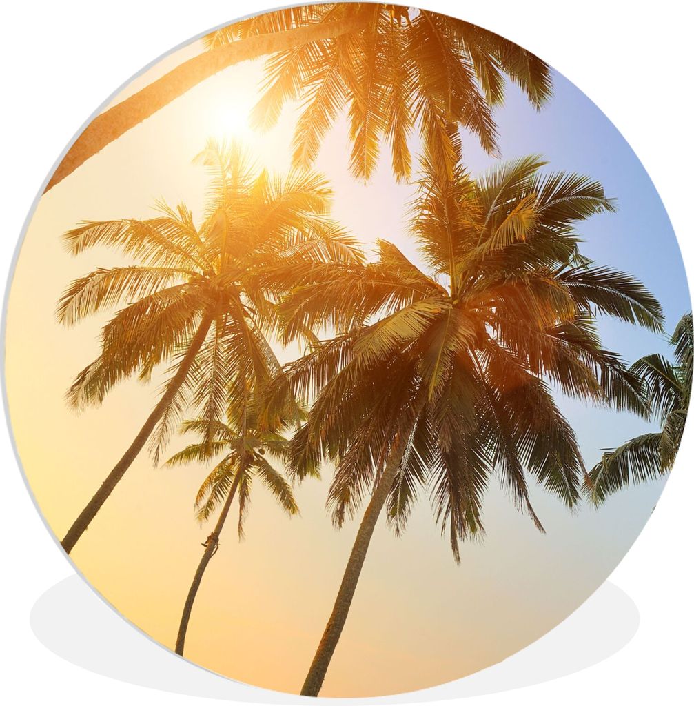 MuchoWow Rundes Wandbild - Runde Bilder Palme - Sonne - Sommer - Tropisch Ø 60 cm Kreis Wanddekoration Kunststoff - Wandkreis - Wandschmuck - Wa...