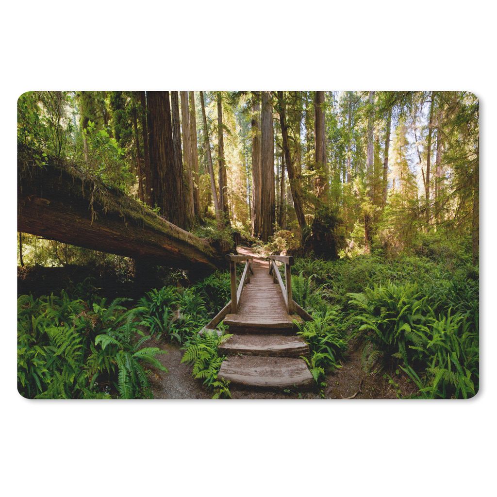 MuchoWow Mauspad Mousepad Dschungel - Natur - Treppe - Bäume 27x18 cm - Mousepads - Maus Mat - Pad - Mausunterlage - Büroartikel - Desk Matten