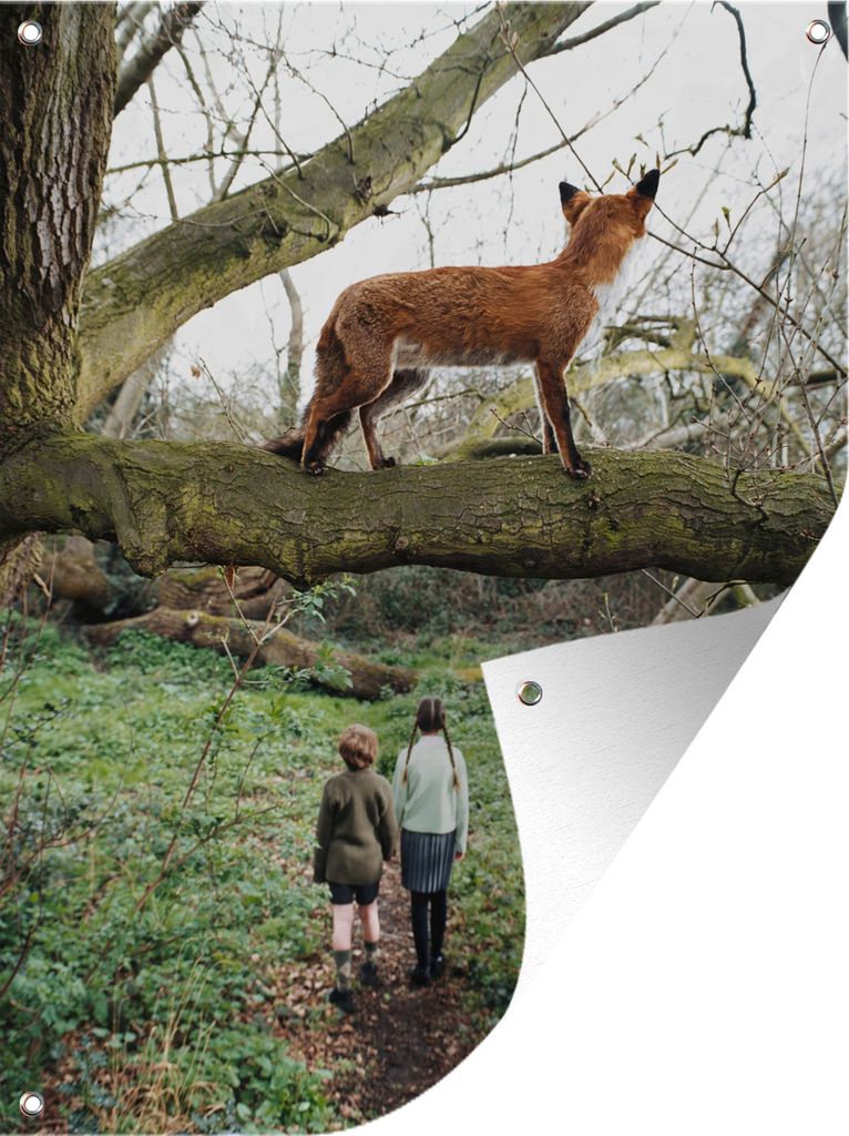 MuchoWow 60x80 cm Outdoor-Poster Gartendeko Sichtschutz Garten Poster für den Garten Fuchs im Baum