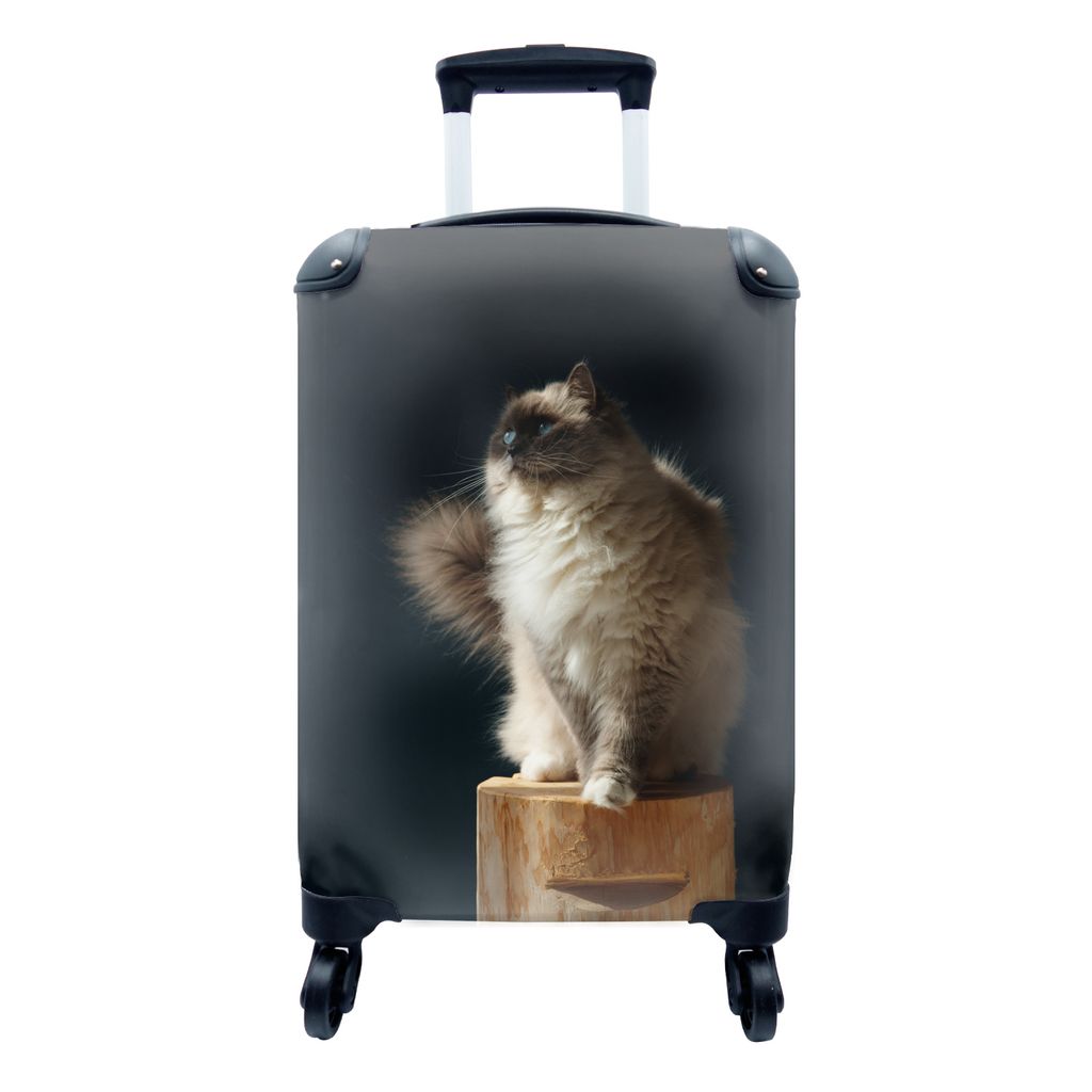 MuchoWow Koffer Handgepäck Trolley Rollkoffer Kleine Reisekoffer mit 4 Rollen - Eine Ragdoll-Katze sitzt auf einer Stange - Cabin Size < 55x40x2...