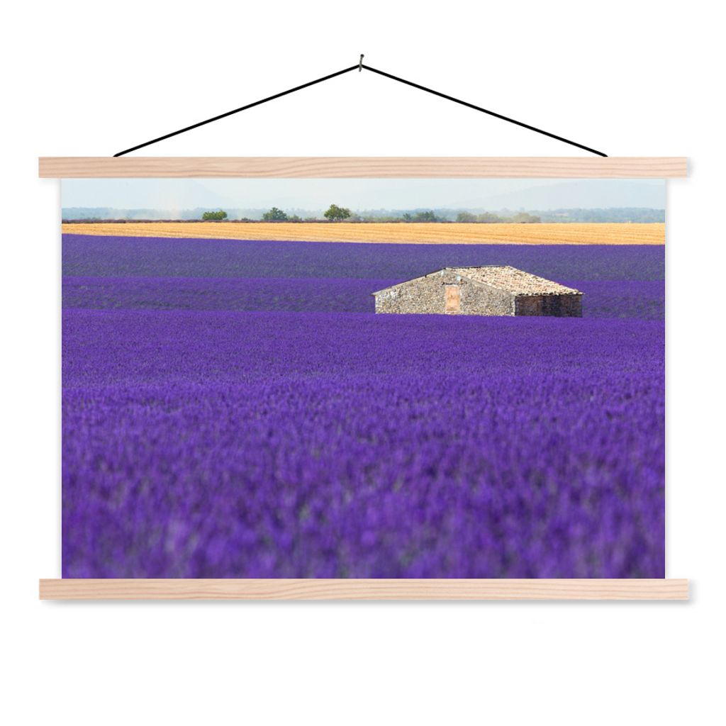 MuchoWow Textilposter Großes Lavendelfeld mit einem kleinen Haus in der Mitte 60x40 cm mit holzfarbenen Rahmen - Bilder