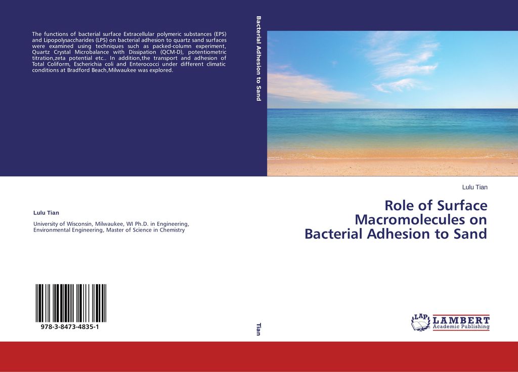 Role of Surface Macromolecules on Bacterial Adhesion to Sand