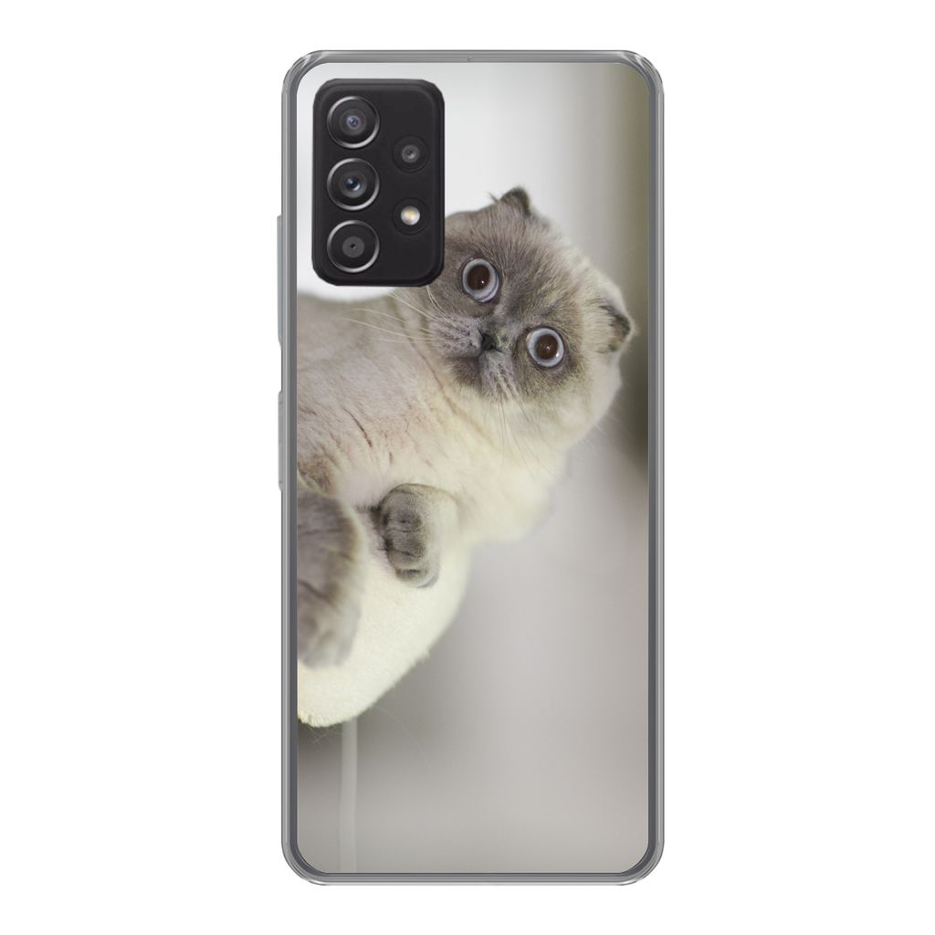 MuchoWow Handyhülle Schutzhülle Hülle für Samsung Galaxy A33 5G Katze - Tier - Wohnzimmer Silikon Softcase Handy Hülle - Kartenhalter