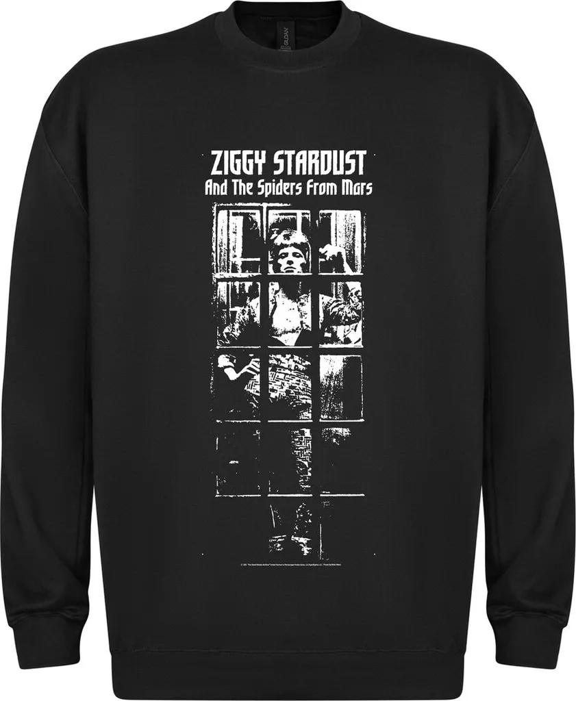 Sweat-shirt à Imprimé Graphique David Bowie Ziggy Stardust pour Homme et Femme