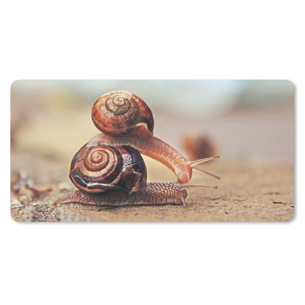MuchoWow Mauspad Mousepad Schnecken - Stein - Tiere 60x30 cm - Mousepads - Maus Mat - Pad - Mausunterlage - Nachhaltig