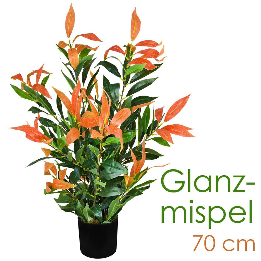 Künstliche Glanzmispel Photinia Kunstpflanze Künstliche Produktbild 