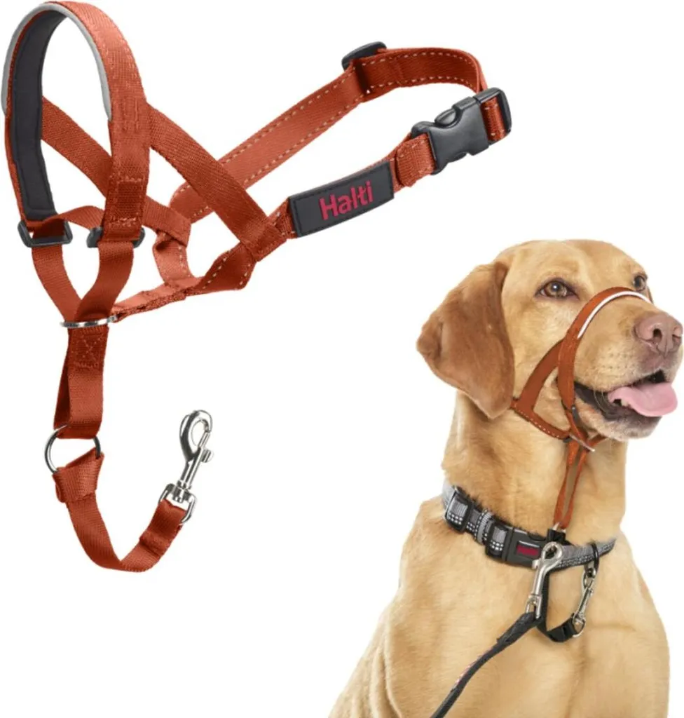 Offerta Museruola Compagnia degli Animali Arancione Bruciato 3