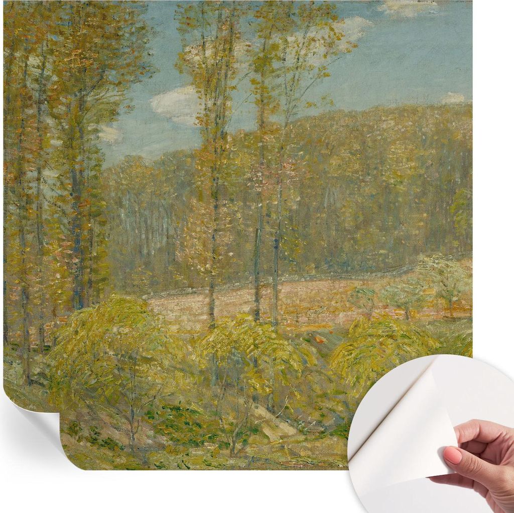 Selbstklebende Wandtapete - Dekorative Tapete für Wohnzimmer - Klebefolie für Wandbilder - Tapetenfolie für Wanddekoration - 250x250 cm - Waldla...