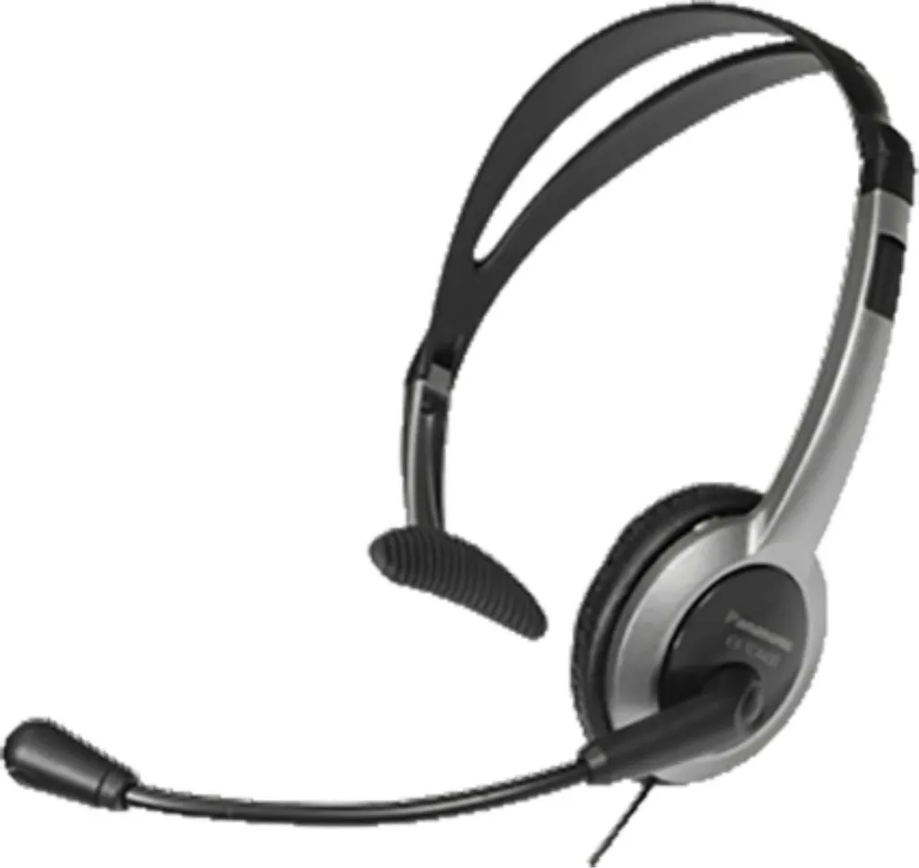 Offerta Cuffie Panasonic RP-TCA430E-S Argento - Qualità Giapponese