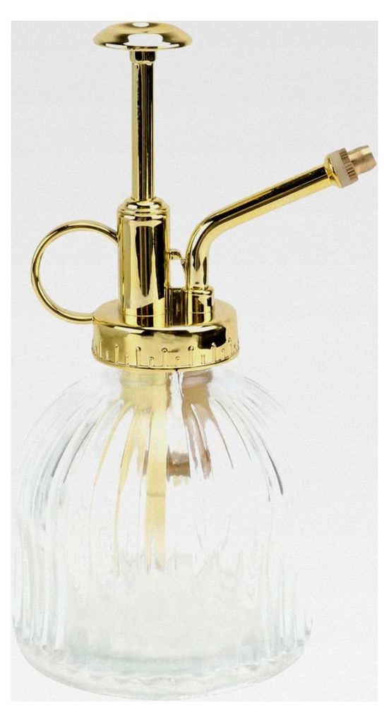 1 Stück Glas Gießkanne im Vintage-Stil – Kleine Sprühflasche für Zimmerpflanzen und Gartenpflanzen (Transparent + Gold)