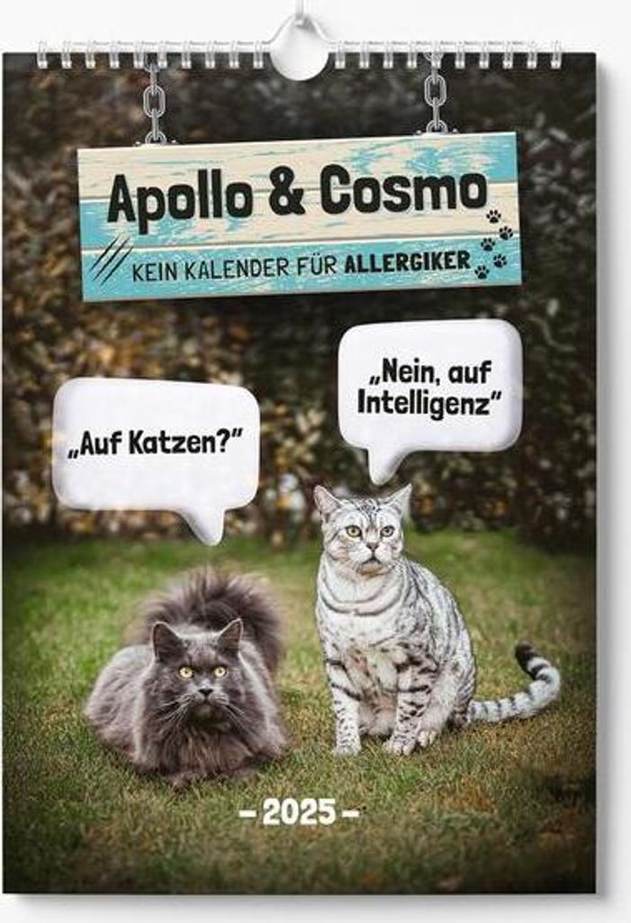 Apollo & Cosmo - Kein Kalender für Allergiker Produktbild 