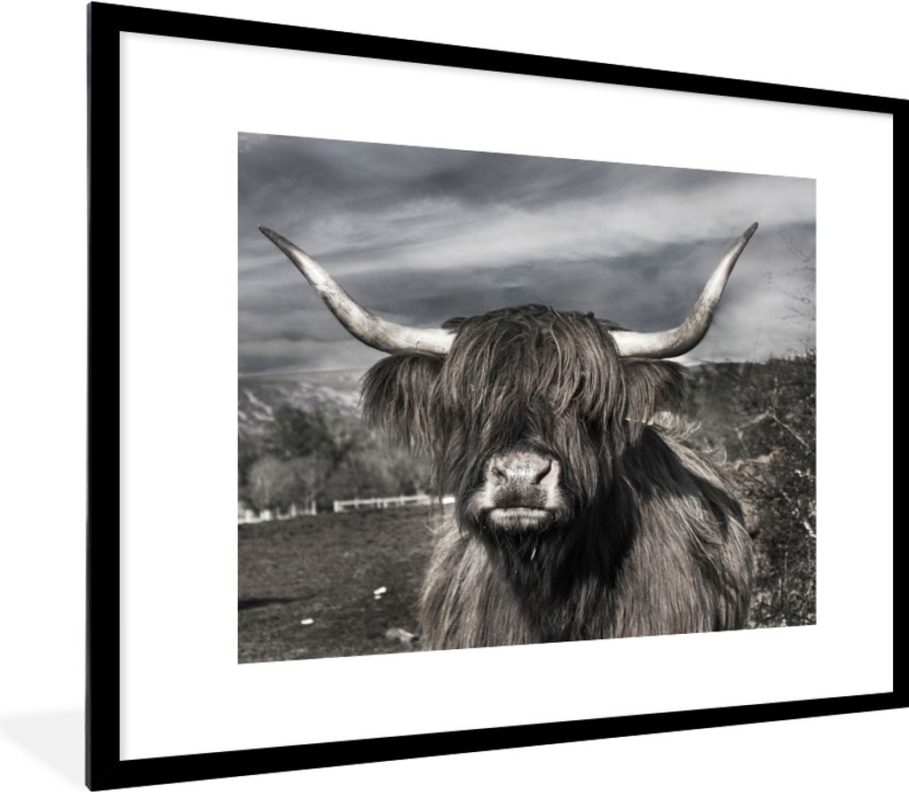MuchoWow Gerahmtes Poster Schottischer Highlander - Tiere - Hörner 80x60 cm - Poster mit Schwarzem Bilderrahmen Wandposter Rahmen Foto Bilder - ...