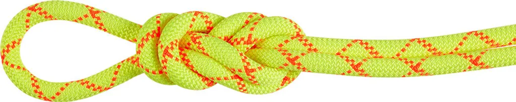 Corde Mammut Alpine Core Protect 9,5 mm anti-gel 60m contre l'humidité