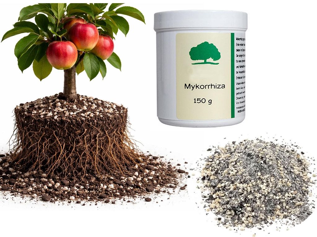 Vitalin Mykorrhiza 150g Produktbild 
