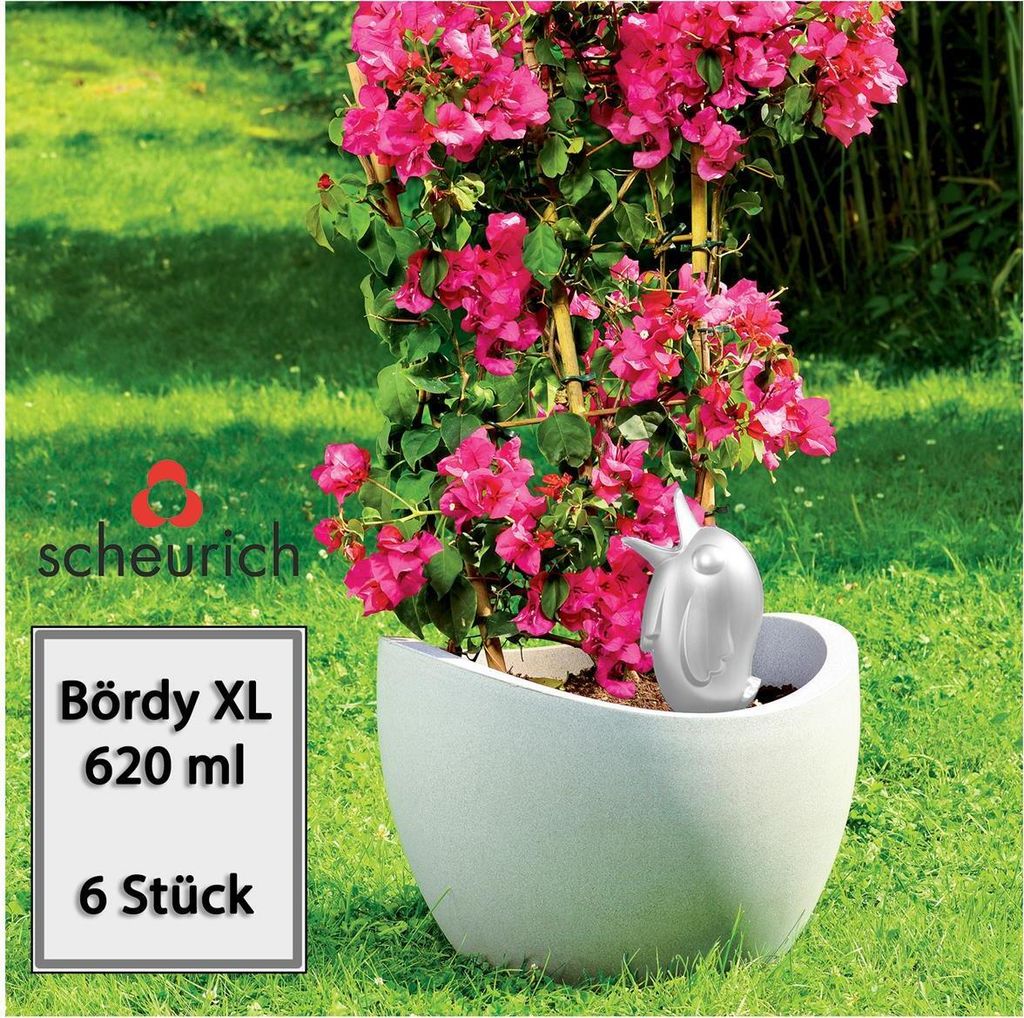 Scheurich Wasserspeicher Bördy XL | 6x Weiß | 620ml Füllmenge | Bewässerungskugel klein mit Ton Fuß | Wasserspender Pflanzen und Blumen Terrak...