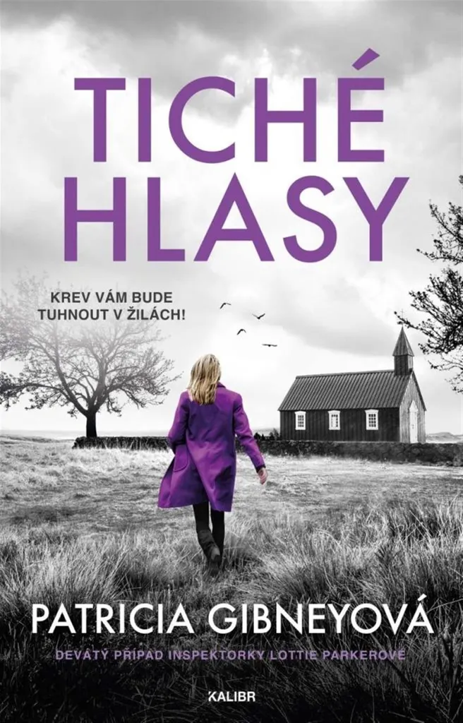 Livre Thriller Stumme Stimmen Grand Format pour Fans de Suspense Noir