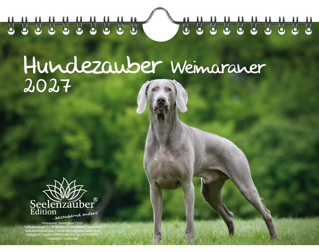 Hundezauber Weimaraner DIN A5 Kalender für 2027 Welpen und Hunde - Seelenzauber