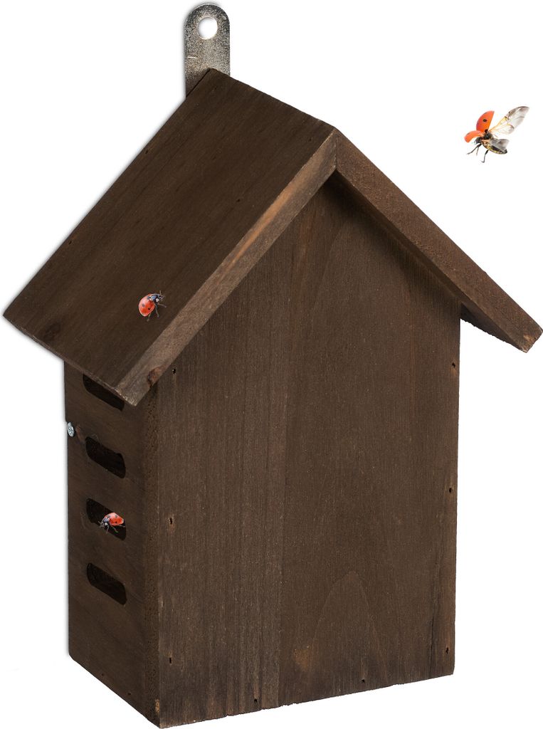 Garten - Mini-Insektenhotel für Marienkäfer zum Aufhängen auf dem Balkon aus Kiefernholz braun.