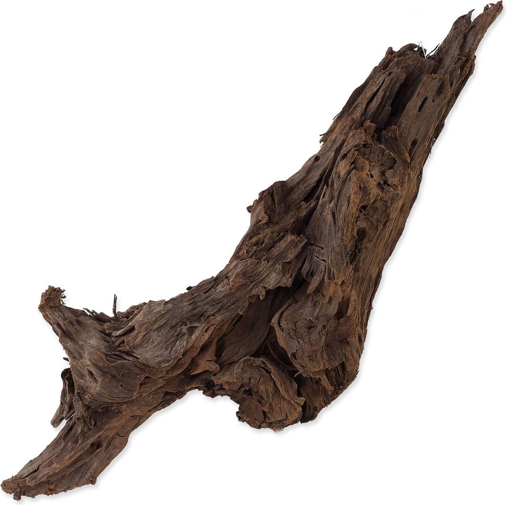 Repti Planet 007-59004, Fingerwurzeln, Holz, 1 Stück(e), 550 mm