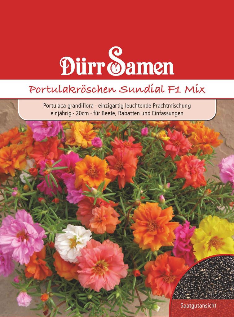 Portulakröschen Sundial F1 Mix | Portulakröschensamen von Produktbild 