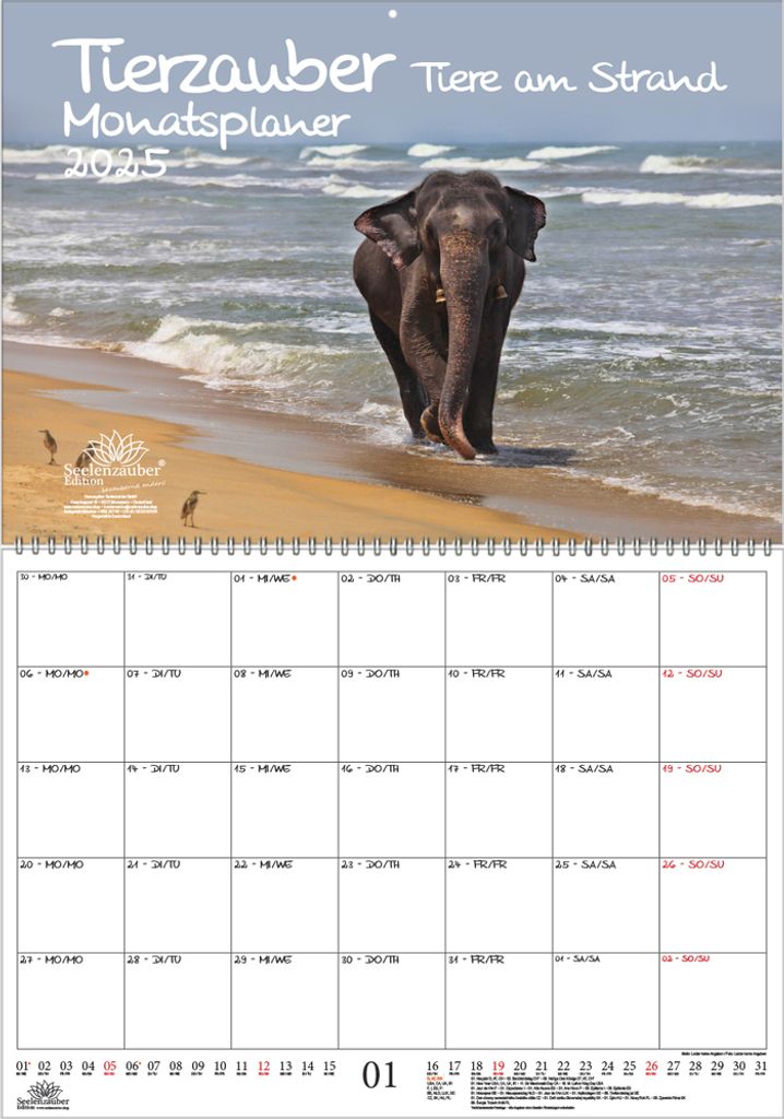 Tierzauber Strand Planer DIN A2 Kalender für 2025 verschiedene Tiere - Seelenzauber