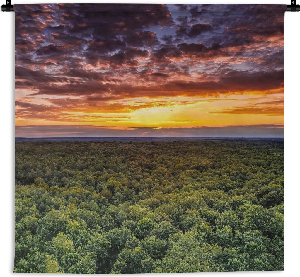 MuchoWow Wandteppich Wandbehang Wald - Nacht - Himmel - Horizont - Bäume 90x90 cm Tapisserie Dekoration Wandtuch - Wandaufhänger