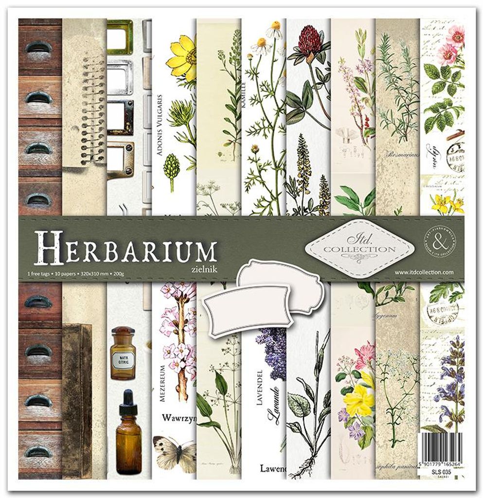 Scrapbooking-Papier Set 30×30 cm – SLS-035 Herbarium – ITD Produktbild 