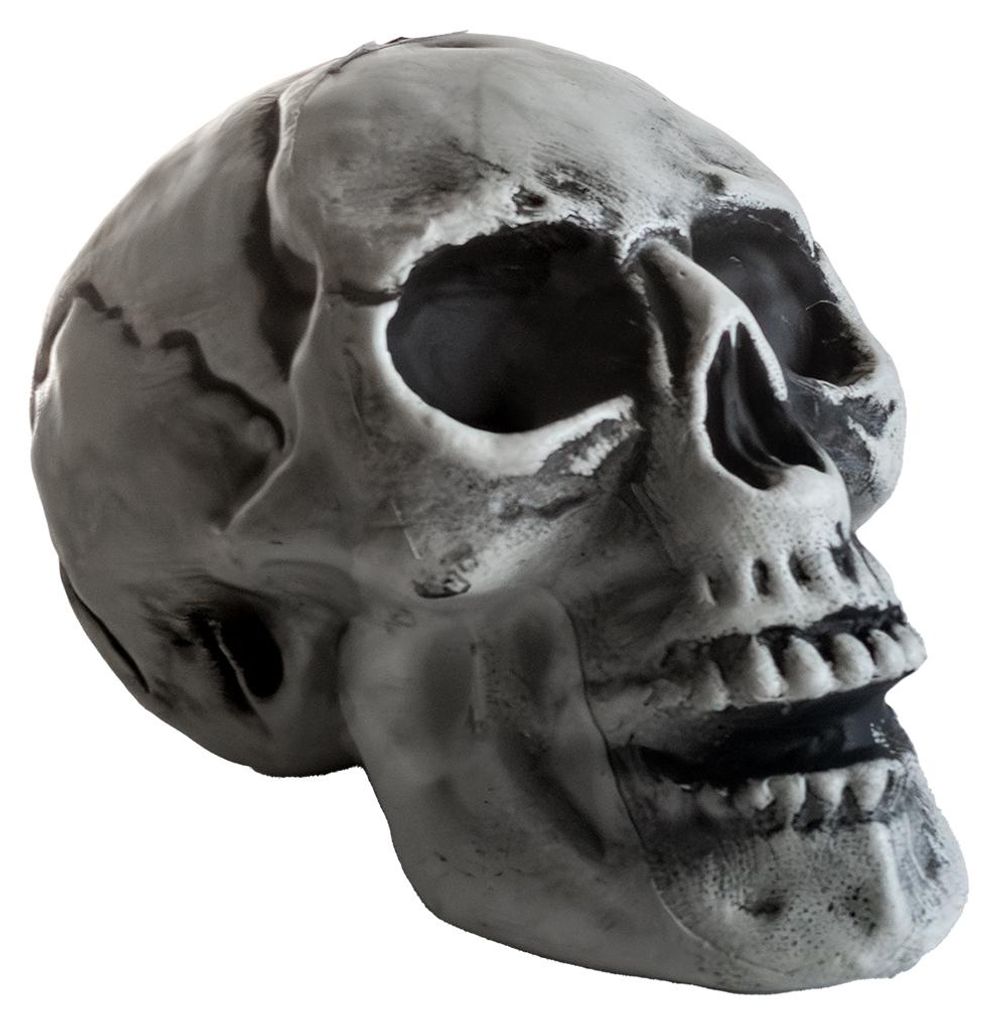 Preiswerter Totenschädel 24cm als Halloween Deko Produktbild 