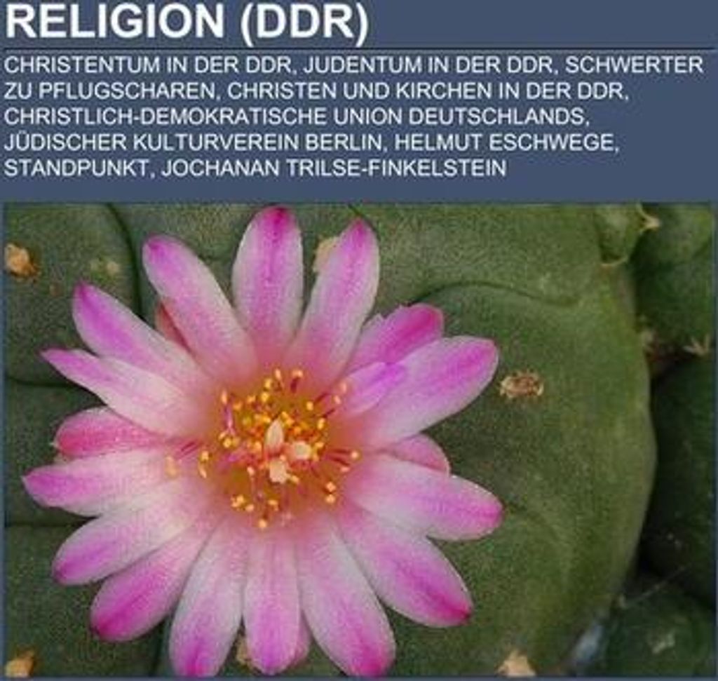 Religion (DDR)