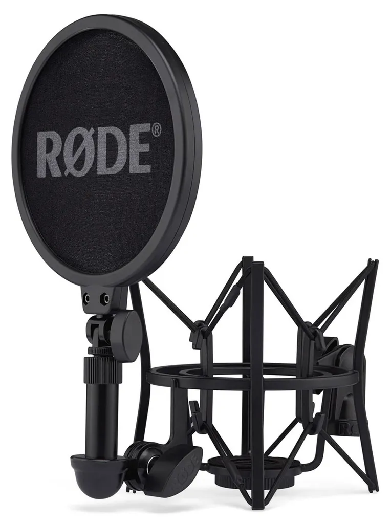 Rode NT1 5th Gen Micro de Studio Noir avec Technologie 32 bits Flottant - 5