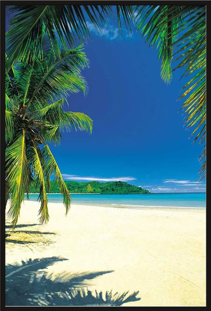 Tableau plage Palm Beach pour salon avec cadre noir Shinsuke 61x91
