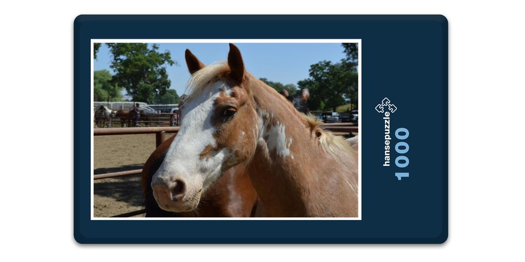 hansepuzzle 11723 - Pferde Puzzle, 1000 Teile, Tierwelt, 60,0 x 46,0cm mit hochwertiger Aufbewahrung, Kartonbox und wiederverschließbarem Beutel