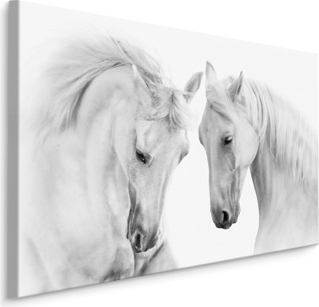 Fabelhafte Canvas LEINWAND BILDER 100x70 cm XXL Kunstdruck Tiere Pferde Skizziert
