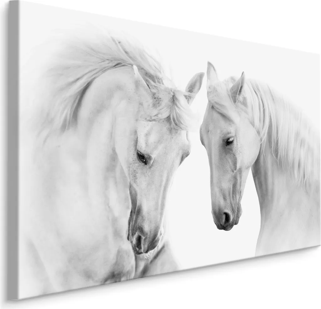 Stampa d'Arte Cavalli 90x60 XXL - Quadro su Tela per Arredo Moderno