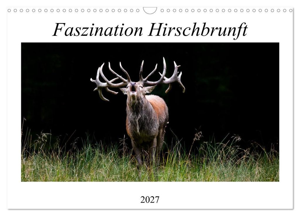 Faszination Hirschbrunft (Wandkalender 2027 DIN A3 quer), CALVENDO Monatskalender