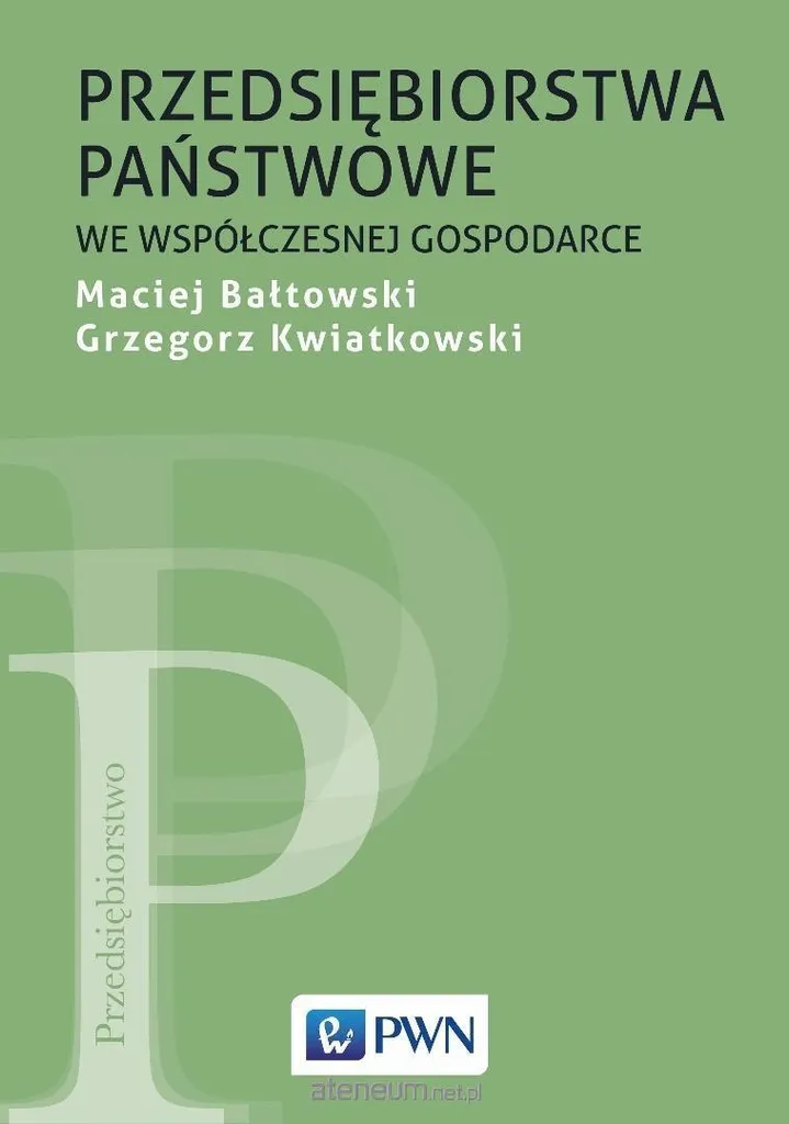 Comprendre les Entreprises Publiques Économie Moderne Guide Complet