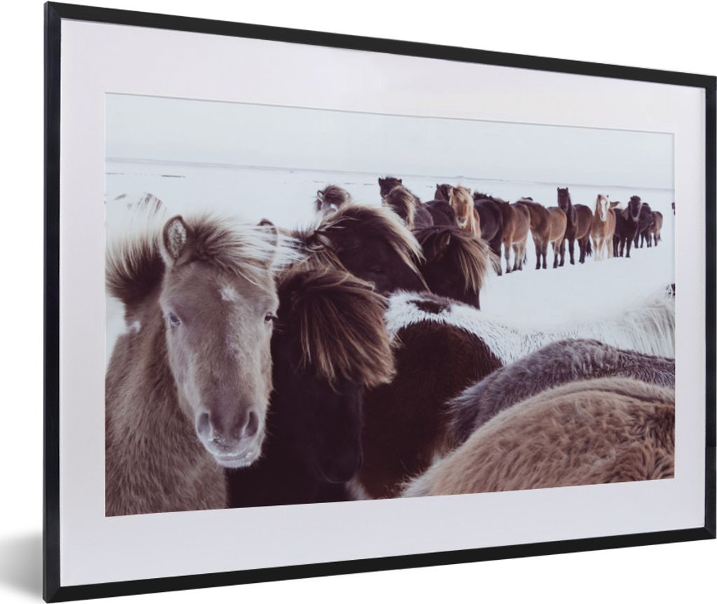 MuchoWow MuchoWow Gerahmtes Poster Pferde - Schnee - Weiß 60x40 cm - Poster mit zchwarzem Bilderrahmen - Schlafzimmer - Plakat in Rahmen - Dru...