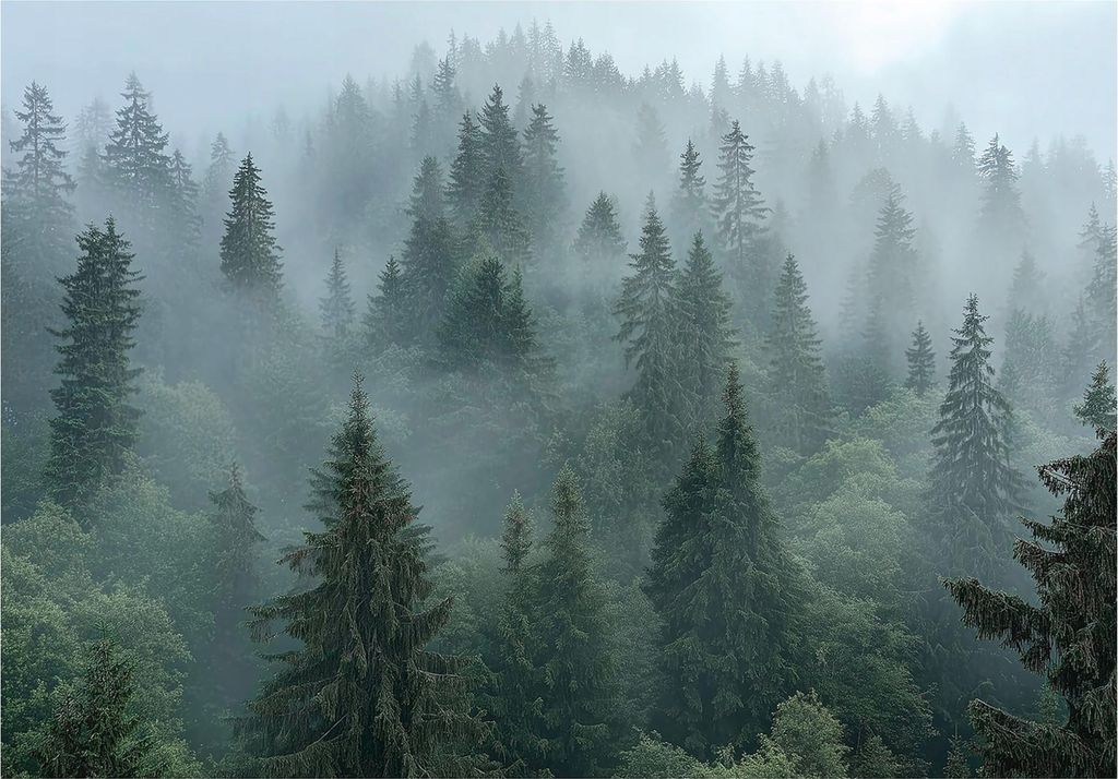 Fototapete 3D Effekt Wald Nebel Natur - 350x250 cm - inklusive kleister - Vlies Tapete - Vliestapete Wohnzimmer Schlafzimmer Küche Modern Wandtapete