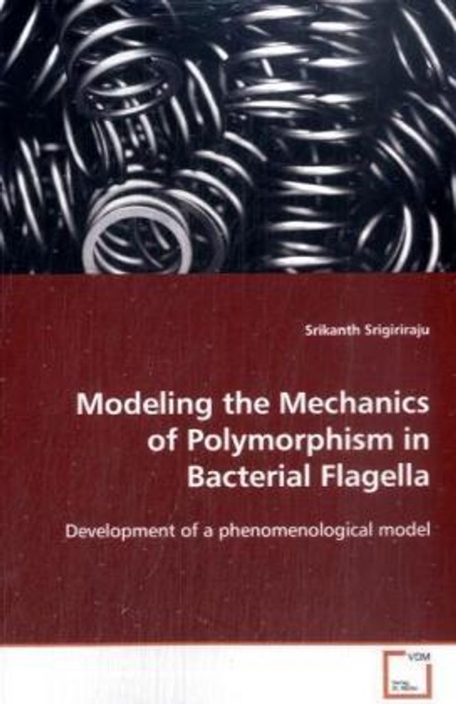 Modeling the Mechanics of Polymorphism in Bacterial Flagella
