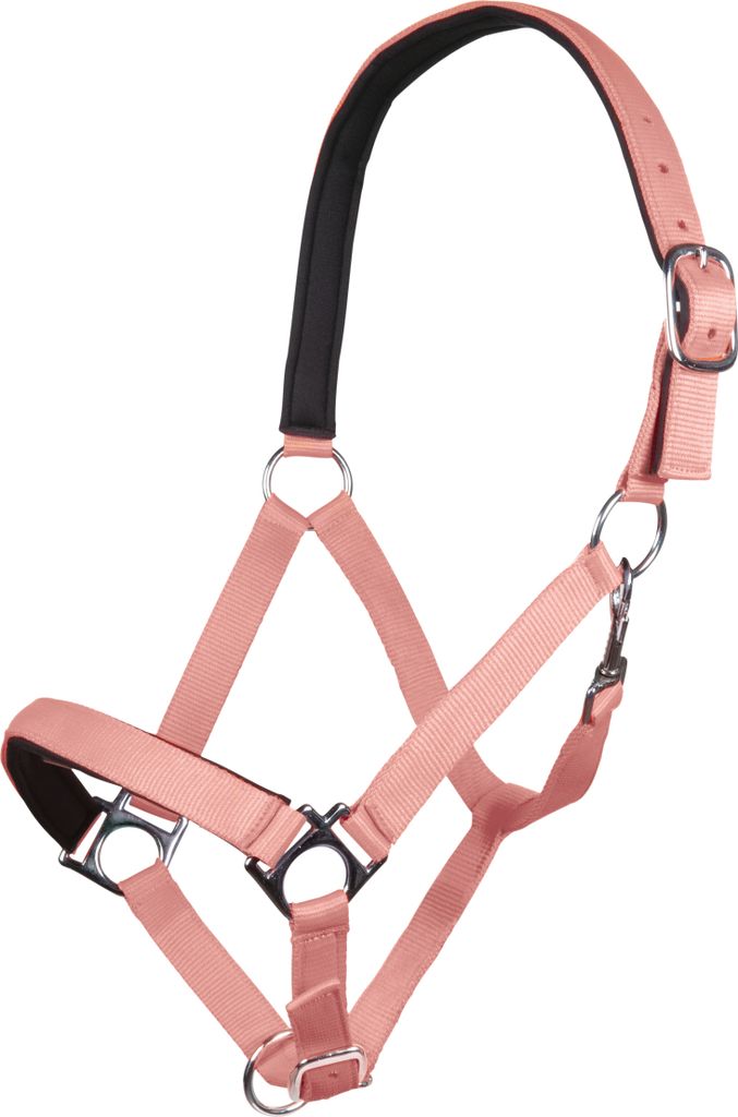 HKM Halfter Stars Softice weich unterlegt NEON KORALLE, Gr. Pony