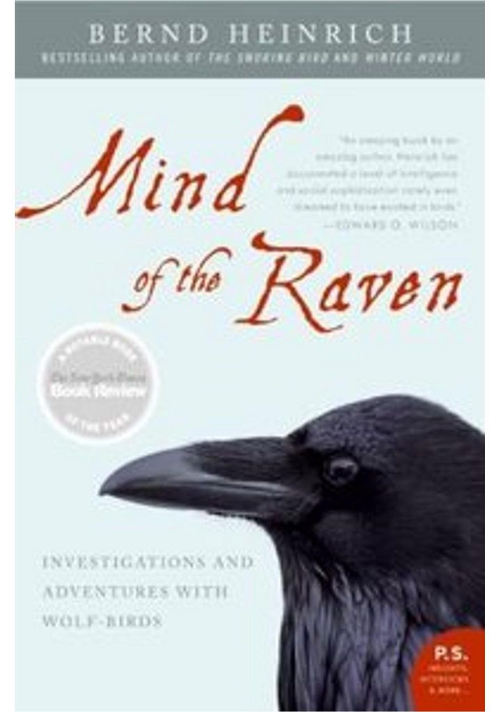 Mind of the Raven
