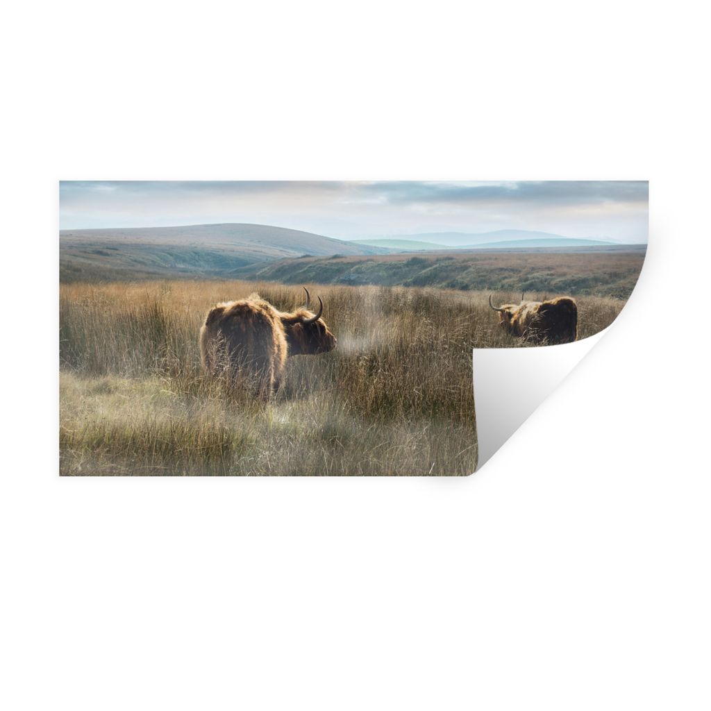 MuchoWow Wandtattoo Wandsticker Wandaufkleber Schottische Highlander - Nebel - Gras 40x20 cm Selbstklebend und Repositionierbar - Aufkleber