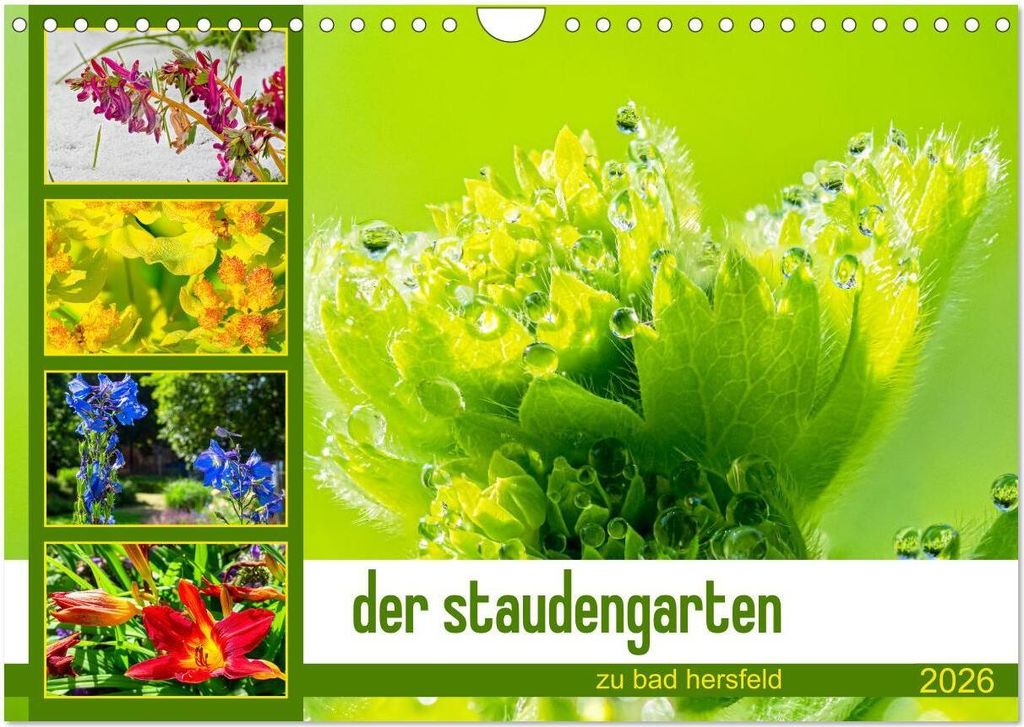 der staudengarten zu bad hersfeld (Wandkalender 2026 DIN A4 quer), CALVENDO Monatskalender