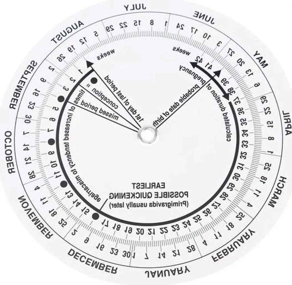 Calculateur Date Accouchement - Pack 8 Disques Grossesse Sage-Femme